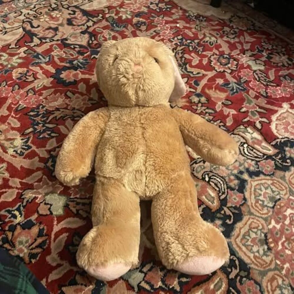 Build-A-Bear Workshop Pawlette Bunny